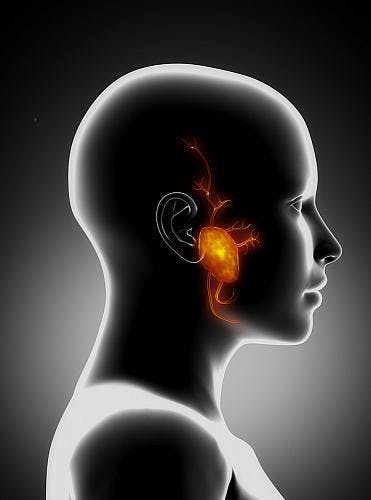 Read more about the article Preservation of facial nerve during parotidectomy