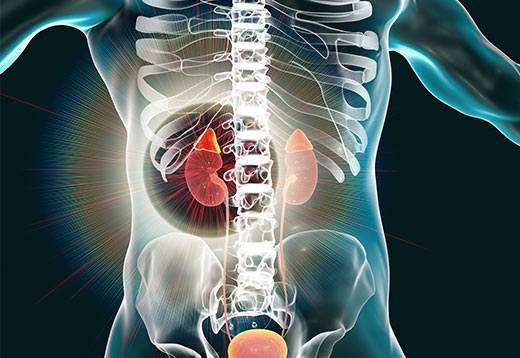 You are currently viewing Adrenal Hemorrhage and Adrenal Hematoma